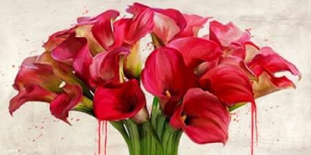 Calla abstraction Poster Print by Alex Vinci - Item # VARPDX2AV2848